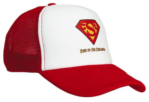 Truckers Mesh Cap