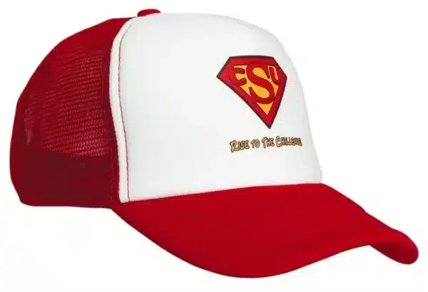 Truckers Mesh Cap