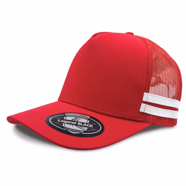 Striped Trucker Cap
