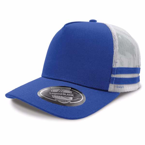 Striped Trucker Cap